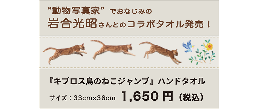 img20250827121008818821.png